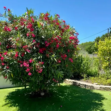 Tatil Evi Maison De Plein De Charme Avec Piscine *